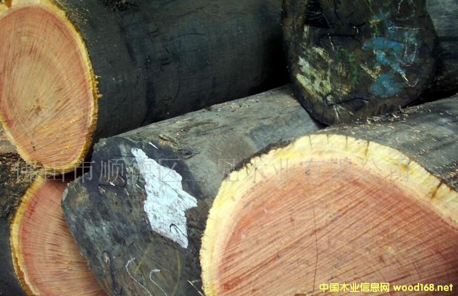 �ʰ� �𲻓Q ����˹(�ʰͶ�kempas)�r(ji��)��