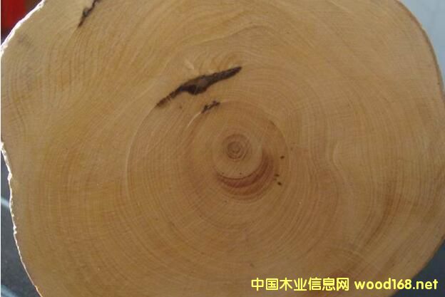 ����ľ���փ�--���²����ĺ�Ӣ��������