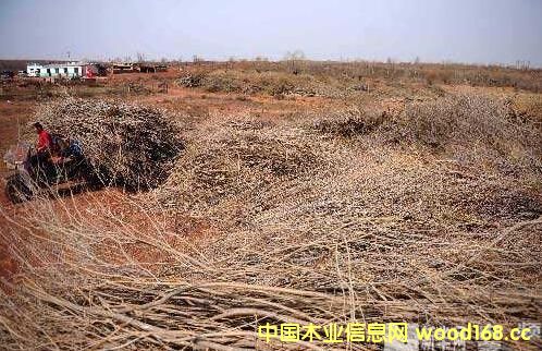 ������˹ɳ���ؽMľ��ɳ��ľ�Ͳġ��ٻ����γ�Ҏ(gu��)�����a(ch��n)�I(y��)