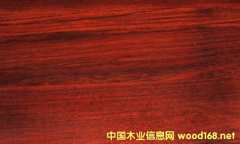 ���FӲľ�òļ�(x��)�����Fľ������̴���ă�(y��u)ȱ�c(di��n)