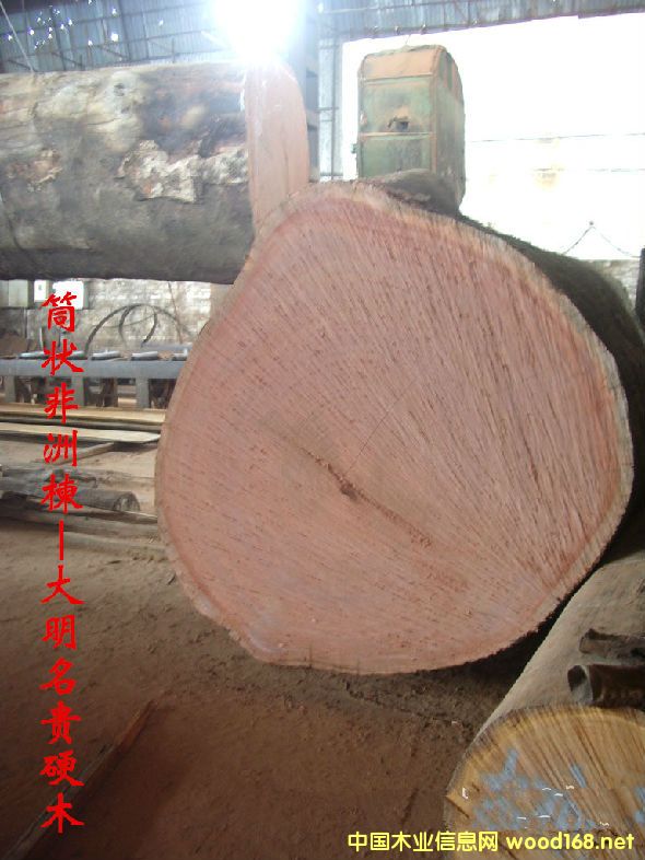 ľ�Ę�NԔ��--Ͳ������  ������ɳ�������tӰľ