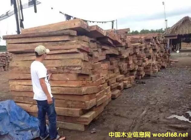 ����ľ���ꌢ�oľ�������tľ�Ј�����Ч���_ʼ��