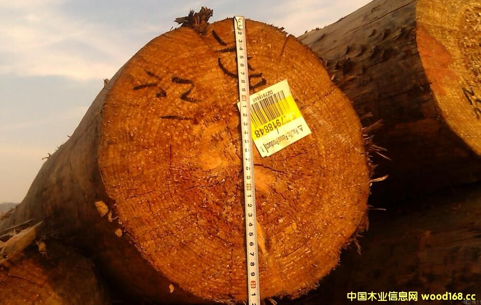 ľ���M(j��n)����ע�⣺ݗ���ɵ�ԭľ���P(gu��n)�¾��a��ľ�Ľ���ߴ������˅^(q��)