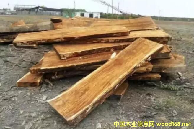 ���ԭľ-��� ľ�ļy��