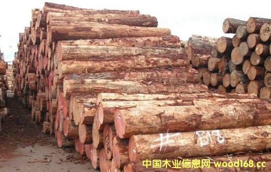 �����mݗ����ԭľ���m(x��)�q�r(ji��)������(n��i)�����Ј�����������