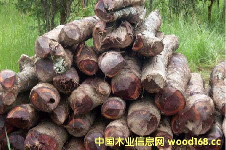 ���޲ļ������S�ݡ� ���������������ȁ���ٝ�ȁ����^��ֹԭľ��