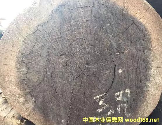 ���F����������̴���_ʼ����ľ���Ј�