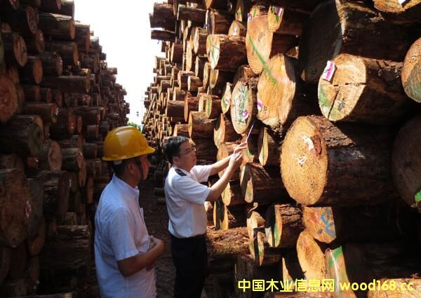 �M(j��n)��ľ�ęz���Ј��_����ģʽ �|(zh��)�������Ƅ�(d��ng)�l(f��)չ