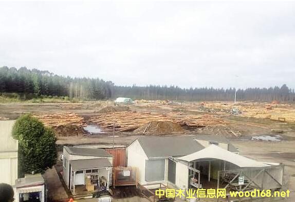 �B�T���Q�ث@�����mľ�Ĺ���ӆ�� ��Ҏ(gu��)���֘I(y��)Ͷ�Y