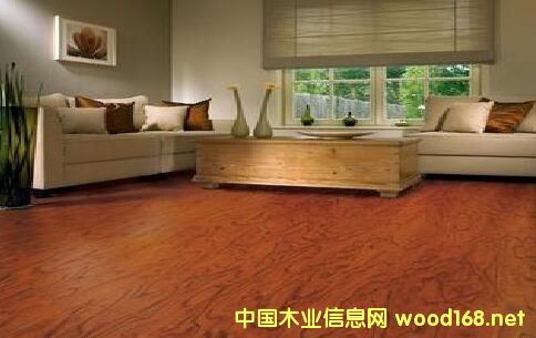 ľ�ذ���I(y��)̽���l(f��)չ����:��(g��)�Ի����¹������P(gu��n)ע