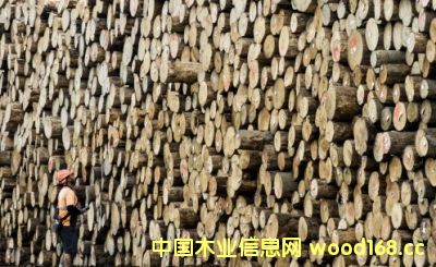 ȫ��ľ�ĝq�r(ji��)�L(f��ng)����Ӱ푵������mԭľ�r(ji��)��