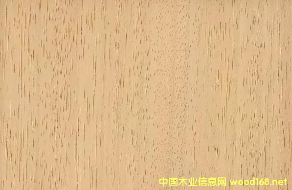 ����ͩľ�ļy��