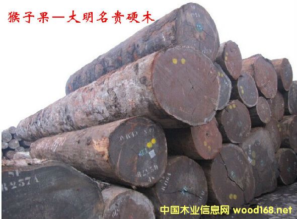 ���ӹ�ľ  �׷Q����������ʥ��ľ���t����������Գ�ӹ�ľ