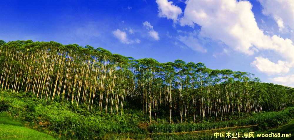 �������˹���׌�z�ϰ����a����һ���_