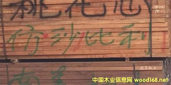 ���޲��Ј��^�죺��ɳ������؛�����D(zhu��n)