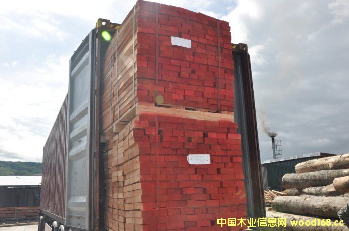 �_�R�၆ľ���Ј�(ch��ng)����5%���ٶ����L(zh��ng)