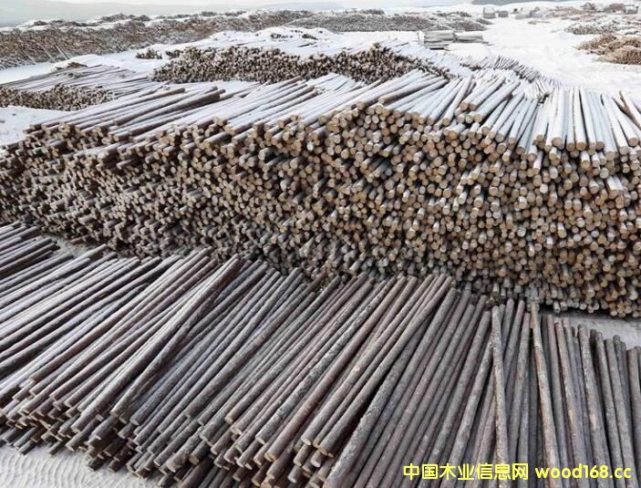 �@���Ƕ��_˹�����ı�����~��ľ�����a(ch��n)��