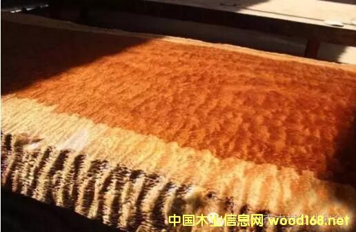 ���޻���ľ����(ji��n)�Q�ͻ���