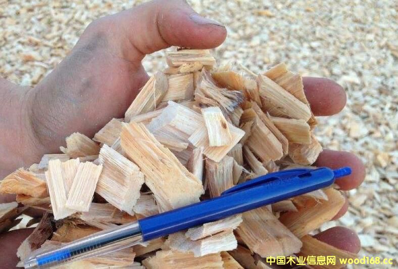 �҇�(gu��)ľƬ���Q(m��o)�΄�(sh��)��� 2017��ľƬ�M(j��n)�ڔ�(sh��)����������