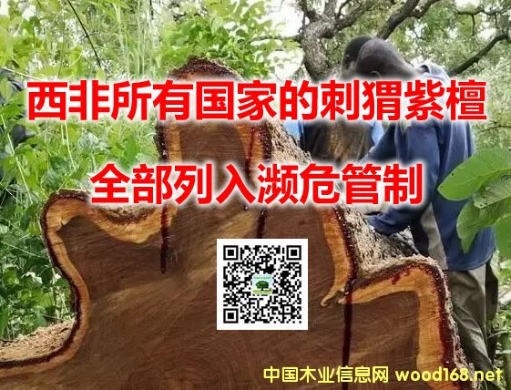 �������Ї�(gu��)�ҵĴ����̴ȫ������lΣ����