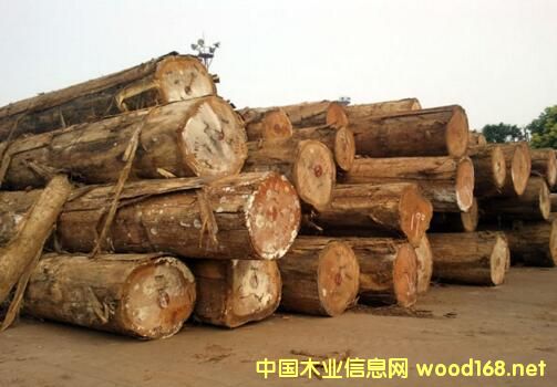 ���ް�ľԭľ