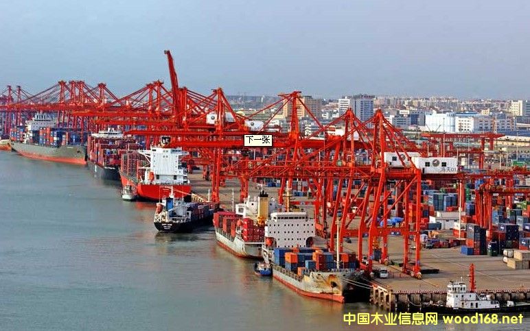 ���d��1-4���M(j��n)��ľ��������50%