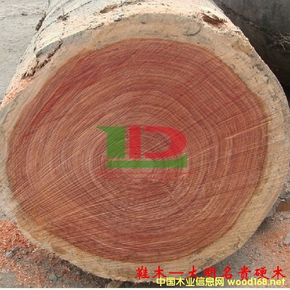 ľ�Ę�NԔ��--Ьľ  �׷Q���tõ����õ����Rľ���t��ľ