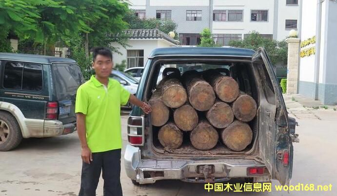 ���ό��������@�Ƿ�͵�\(y��n)ľ��179.75������