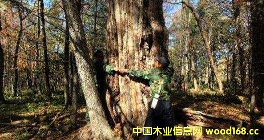 ���ľ��2016�ꌦ�Ї��������L�˰ٷ�֮��ʮ