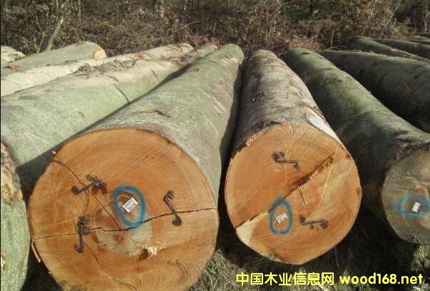 �W��ľ�ĺ��\(y��n)�M(f��i)�����������Ƿ�߀�и�(j��ng)��(zh��ng)��(y��u)��(sh��)��