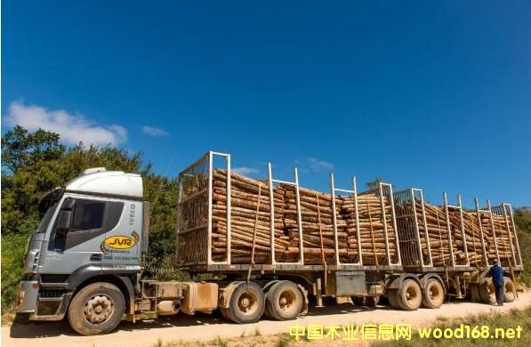 ����ԭľ--�� (�̻�)(���G)����˼��(sh��)��