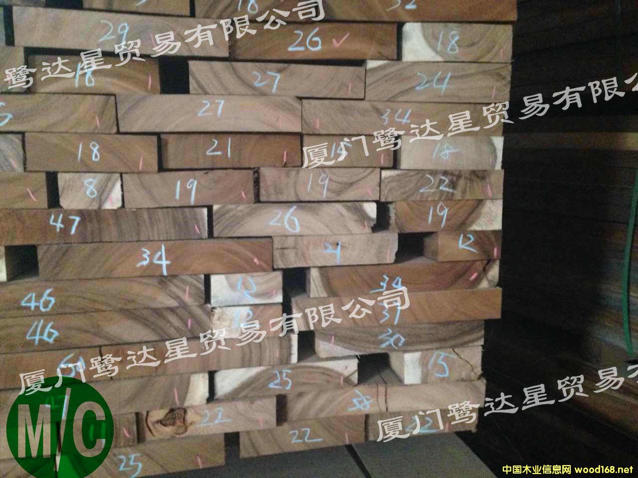 ��������ľ-b2