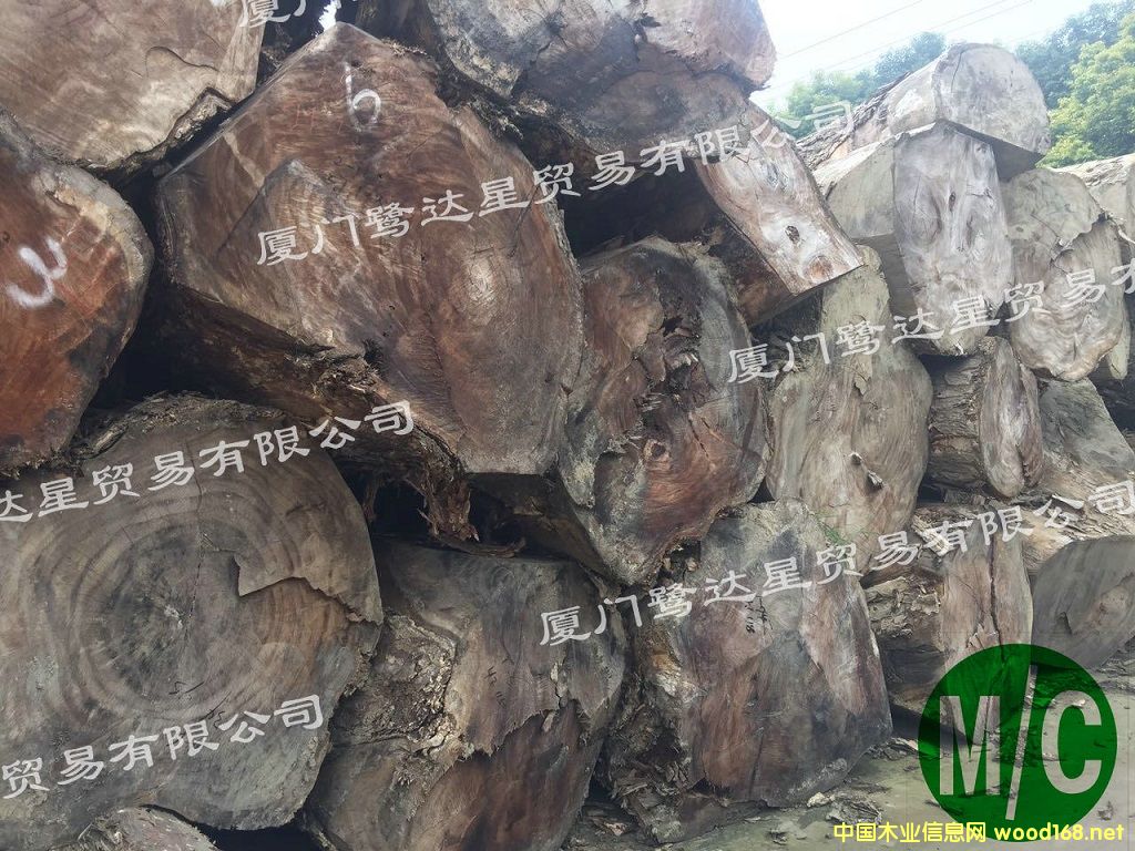 ��������ľ