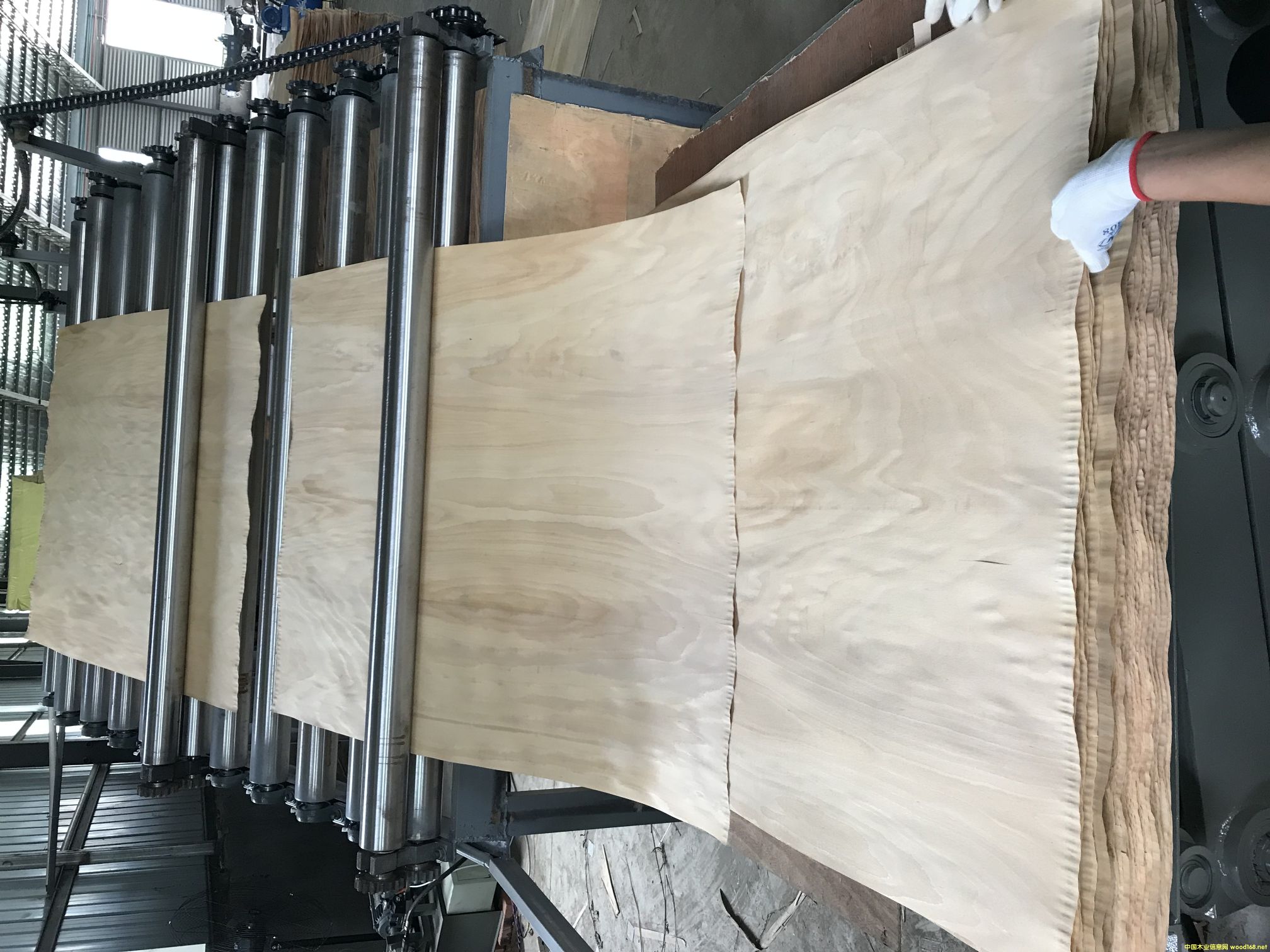 ��ľľƤ݁Ͳ���