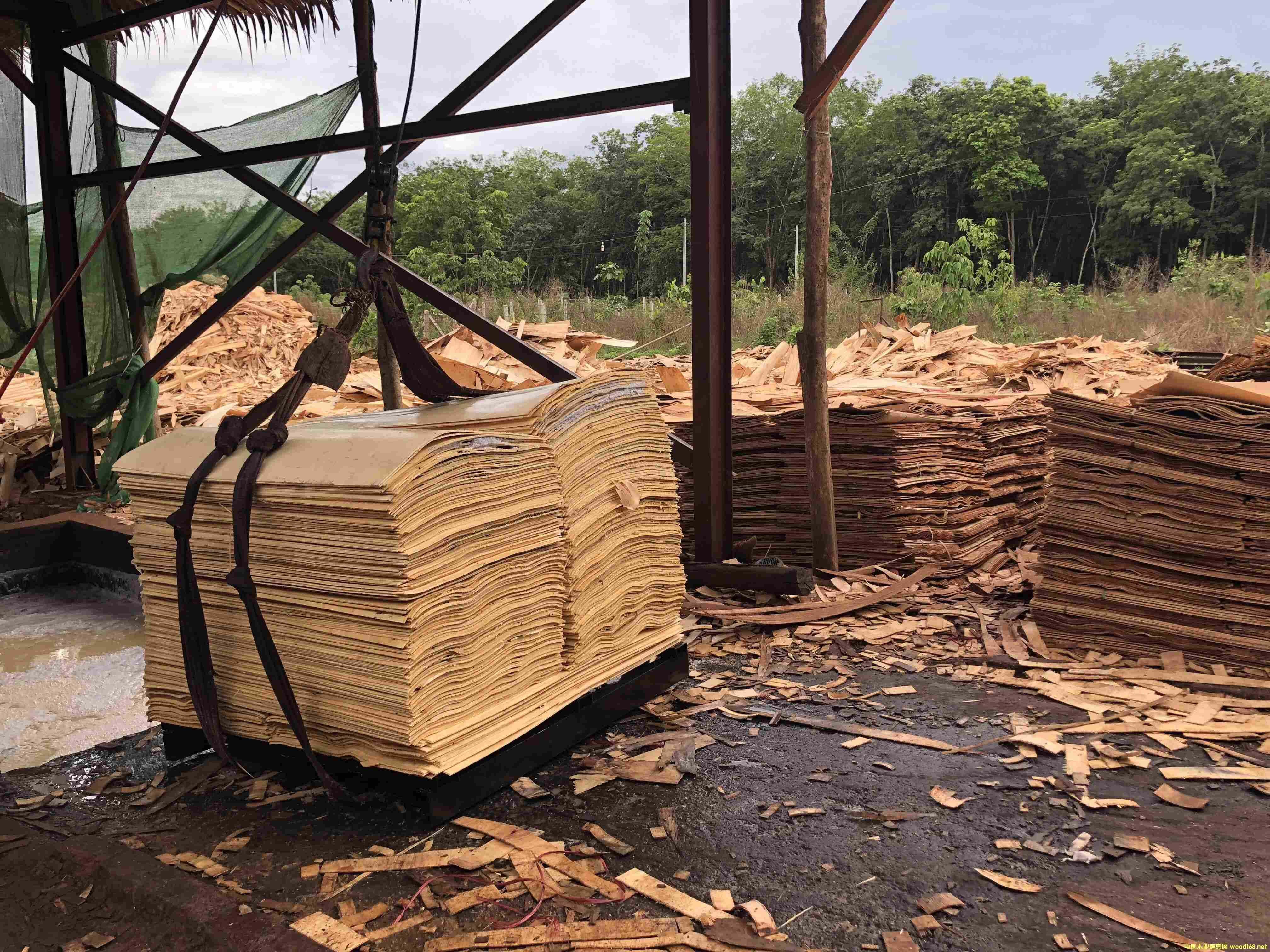 ���zľ��װ�