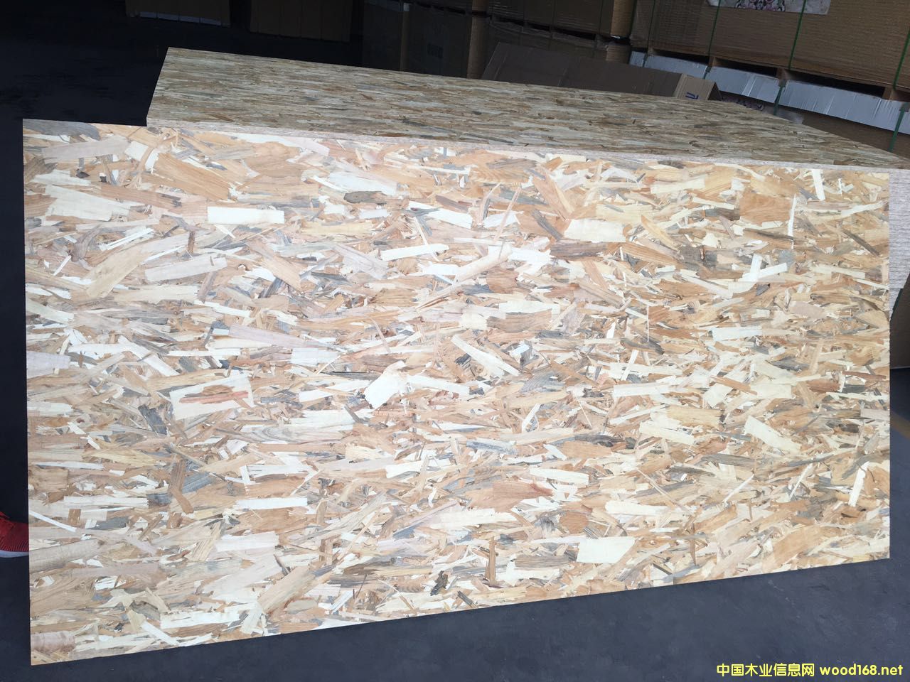 15MM��ľ�o(w��)ȩOSB