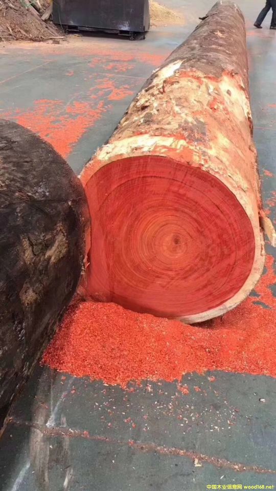 �t������������̴