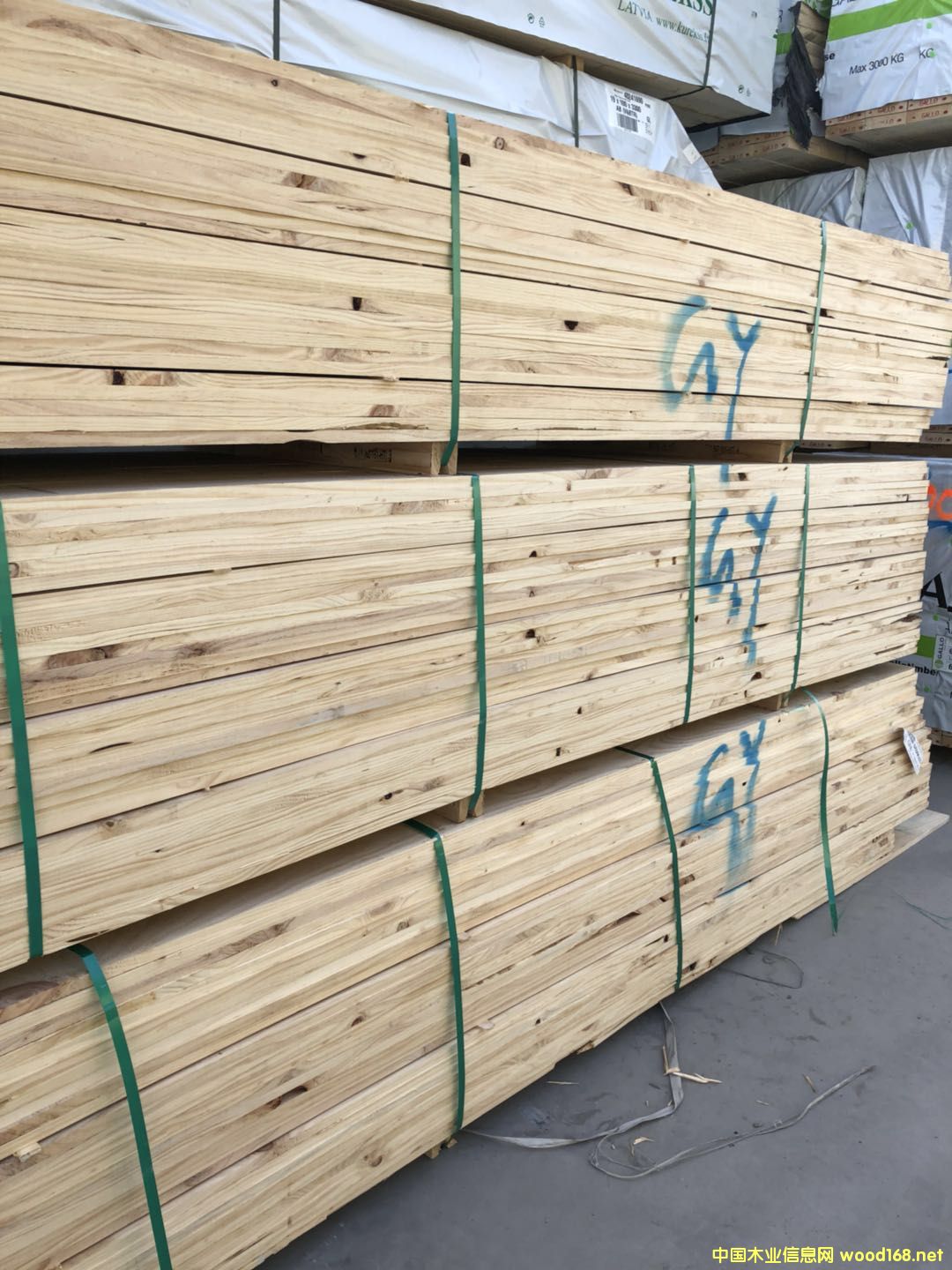 �����mݗ����