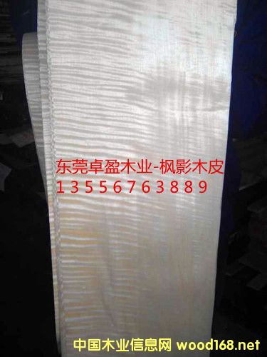 ��ӰľƤ��10�z��20�z��30�z����Ԕ��(x��)��B