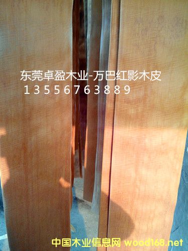 �tӰľƤ10�z��20�z��30�z��Ԕ��(x��)��B