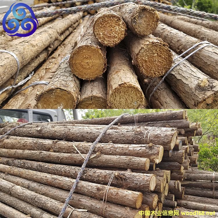 ֲ��(sh��)�U��Ԕ��(x��)��B