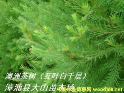 ���޲���~��ȡ����ԭ��