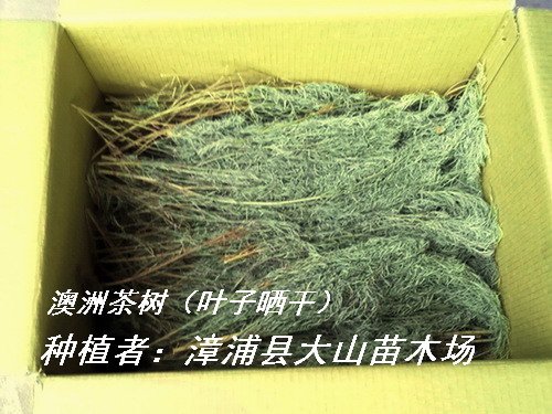 ���޲���~����ȡ����ԭ��