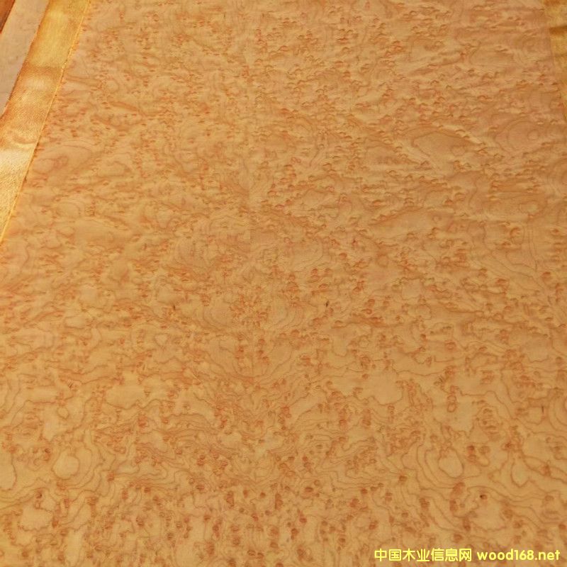  ��Ȼ��ľȸ��ľ����