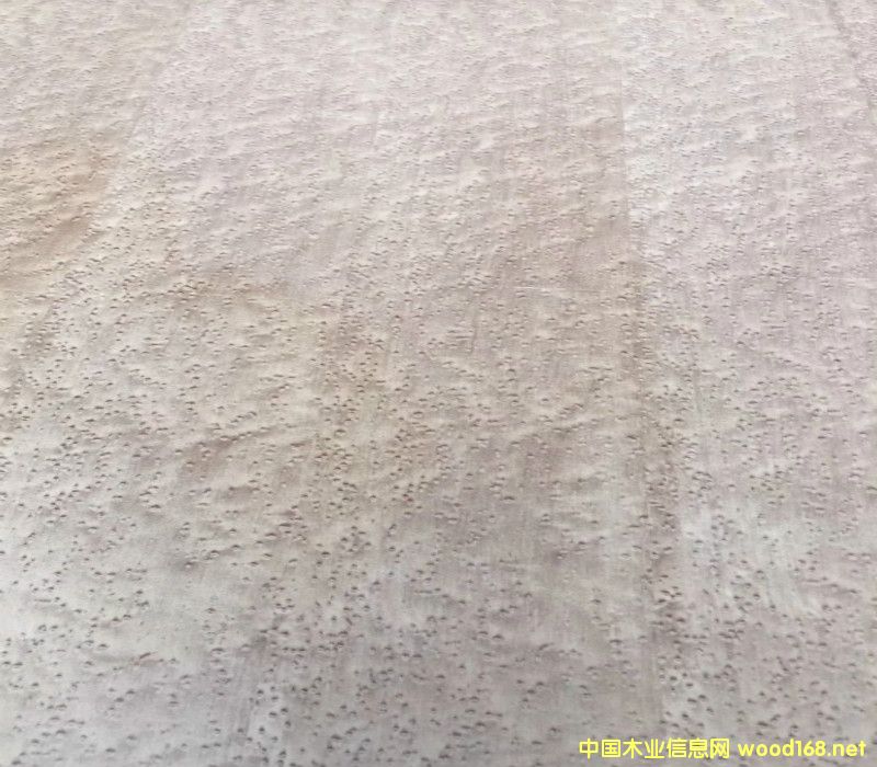  ��Ȼ��ľȸ��ľ����