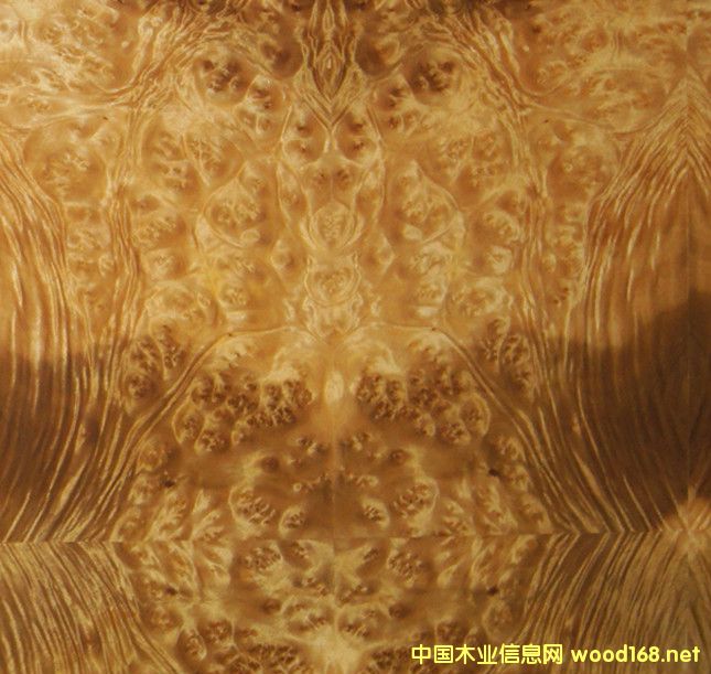  ��Ȼɽ�����(sh��)��ľ�����Ԕ��(x��)��B