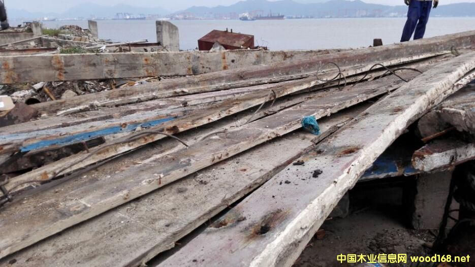 �㽭��ľ��Ԕ��(x��)��B