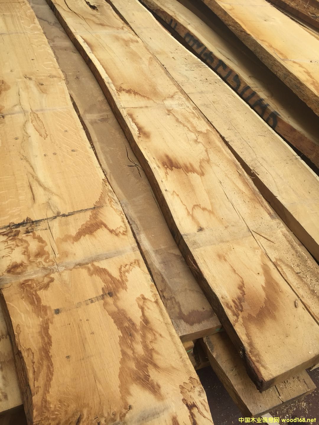 �W�ް���ľ��Ԕ����B