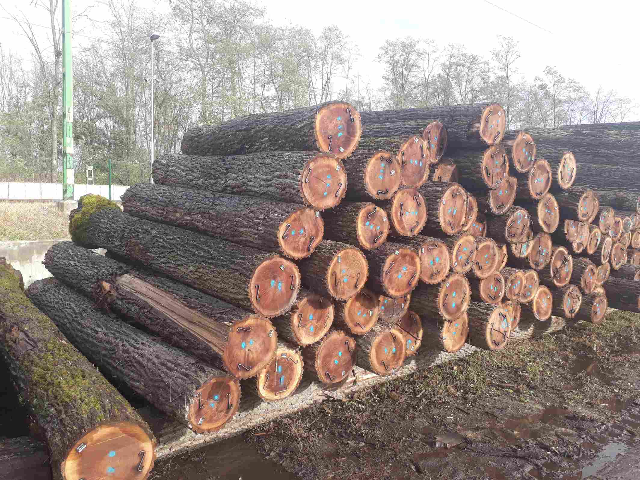 [��] �ں���ԭľͬ���