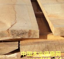 �W�ް������ֱ߅���